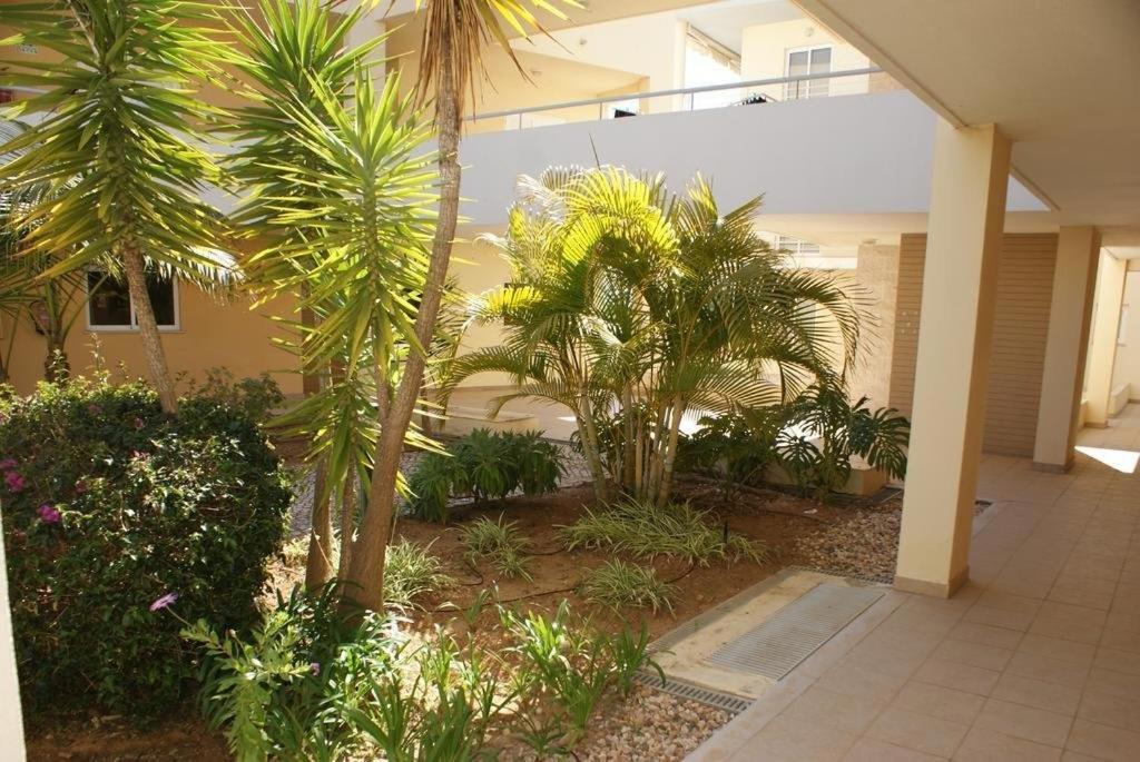 Vila Praia 7 - Beach & Pool Apartment ألفور المظهر الخارجي الصورة